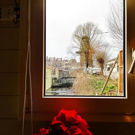 Lior Amsterdam
