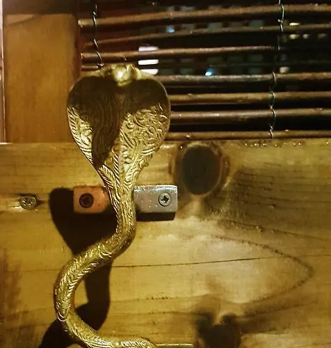 Lior Bed and breakfast