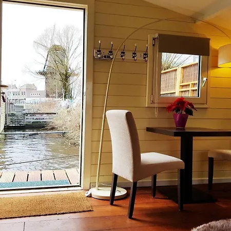 Lior Amsterdam